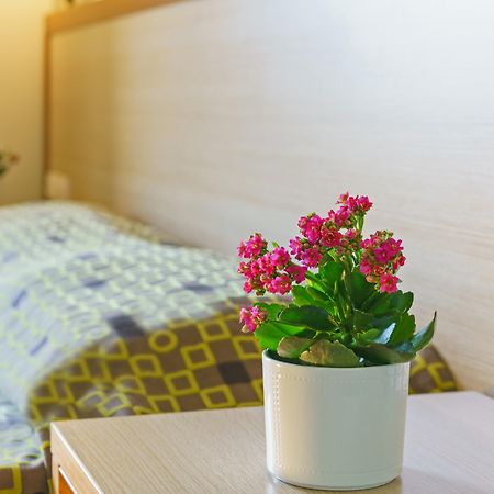 Alianthos Beach Hotel プラキアス エクステリア 写真