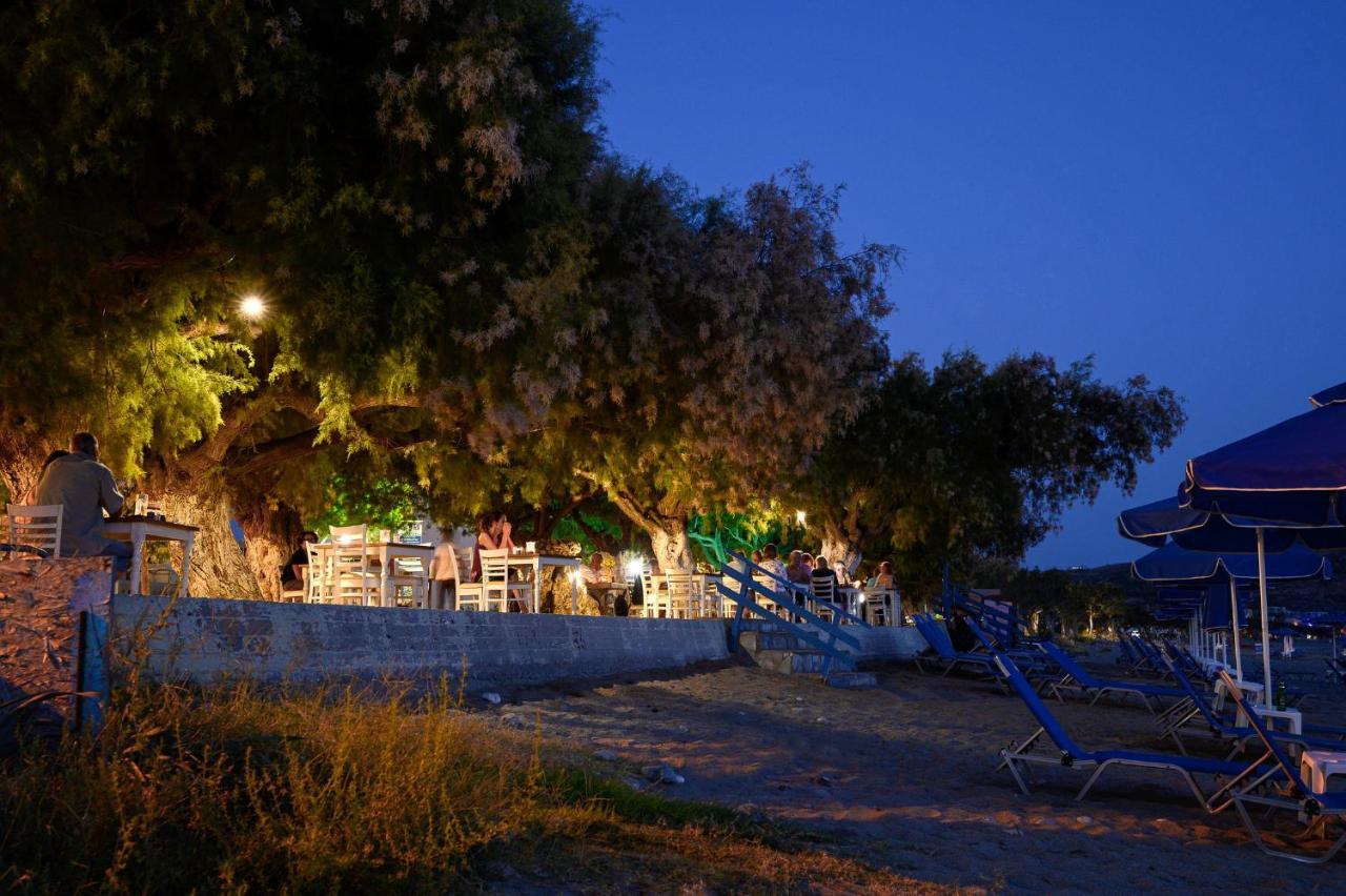 Alianthos Beach Hotel プラキアス エクステリア 写真
