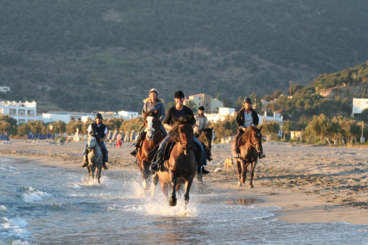 Alianthos Beach Hotel プラキアス エクステリア 写真